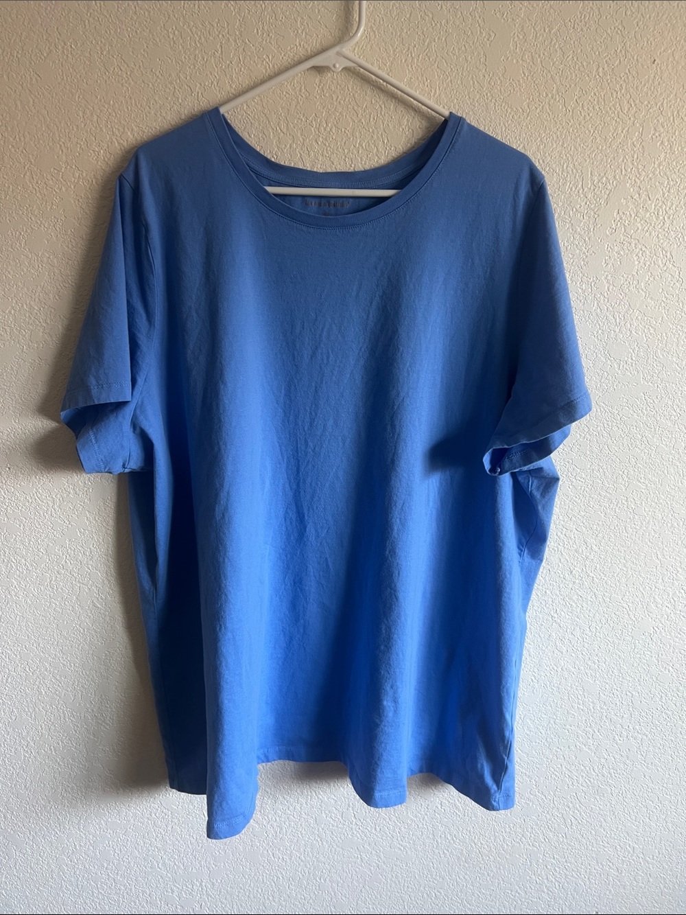 Woman Within Short Sleeve Shirt